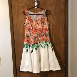 DressBarn Floral Dress Sz 8